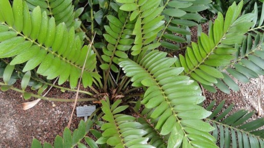 ����������� ������ �� ������ �������������