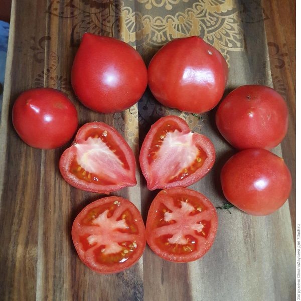 Томат Розовые вершины: секреты успеха популярного сорта с прекрасным вкусом