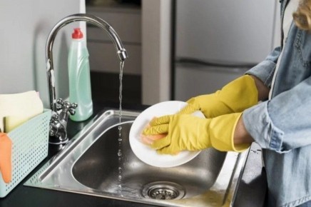 Кухонные губки: неожиданный источник опасных бактерий