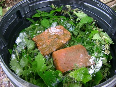 Настой из крапивы и сорняков: Как использовать и в чем секреты успеха