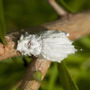 ����������� ������� ������ � ��������� �������� ��� ���������