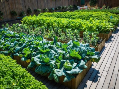 ������ ����� ��� ������� ������: ��� ������� ������� ������