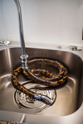 Выбор и использование сантехнического троса: лучший способ устранить засоры