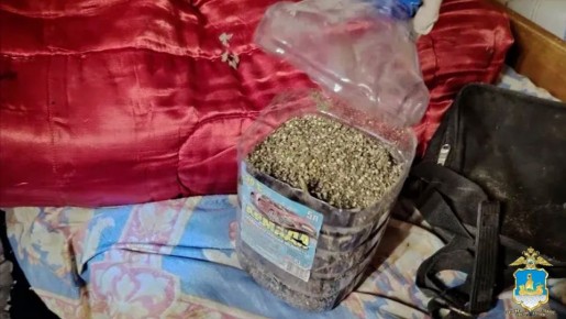 В Костромской области сотрудники уголовного розыска пресекли противоправную деятельность мужчины, который хранил в своем доме свыше 30 килограммов наркотиков