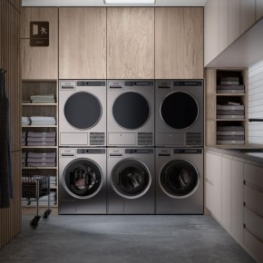 ������� ��� �������: ��� ASKO Professional ������ ������� ����