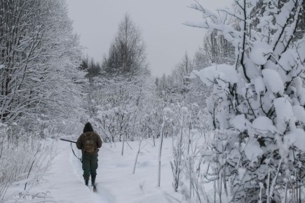 ������� ��������� ����� ��������: ��������� � �������� ������������