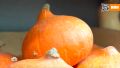 Как выбрать и вкусно приготовить тыкву: советы от шефов