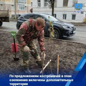 Среди территорий, где дополнительно будет проведено озеленение, участки в районе домов № 9 по улице Маршала Василевского, № 153 по улице Ленина, № 63 по улице Нижней Дебре, № 48 по проспекту Текстильщиков