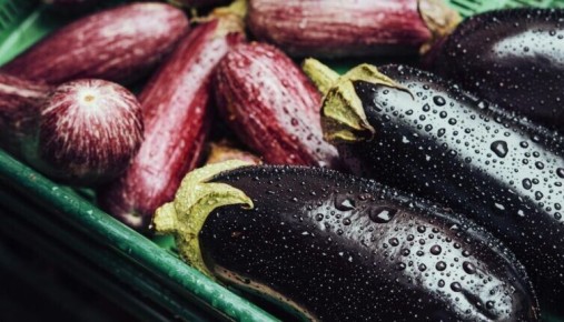 Баклажаны: как создать настоящие кулинарные шедевры