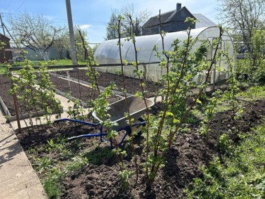 ��� ��������� �������� �������� ����� �����: ���� �������� � ��� ������