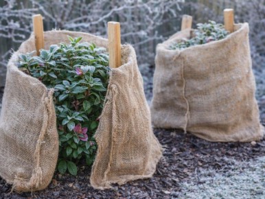 ��� �������� ���������� �� ������ �����: ������ ���������