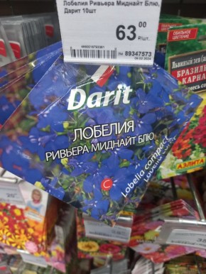 ��������� � ���������� ������ � ����� ������: ��� ������ ����� �����?