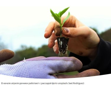 ������ ��������� ��� ���������: � 3 �� 9 ������