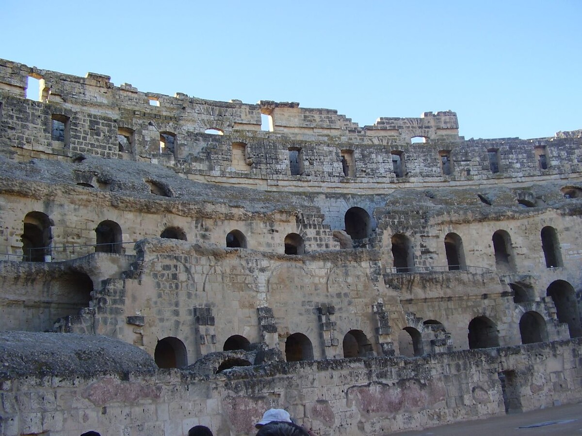 Сладкий секрет: как финики помогают победить cravings и диабет