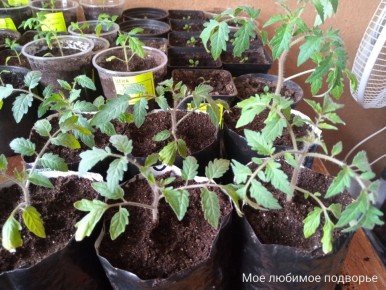 �� ��������� ����� ���������� ������ �������