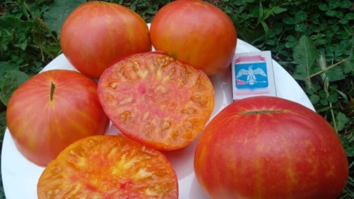 �������� �� ������� �������: 9 ������������ ������, �� ����������� ������������