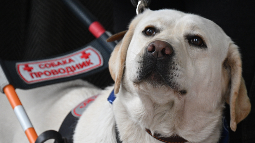 С 1 апреля в России вступают в силу новые стандарты: что изменится?