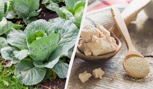 ��������� ������: ������� ��������� ��������� ��� ������