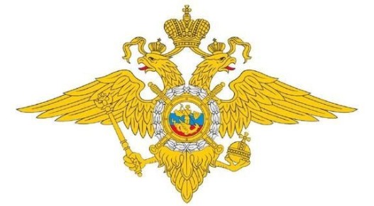 МВД РФ призывает граждан избегать несогласованных акций на выходных