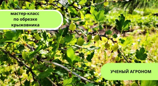 ����������� ������� ������� ����������: ��� ��������� ��������� �� �������