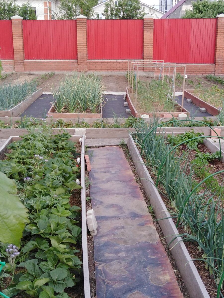 Как выбрать идеальные грядки для вашего огорода?