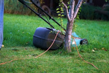 ��� ������� � ����� ������, ������������ �� �������������