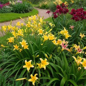 ���������: ��������� ������������ ��� ����� �����