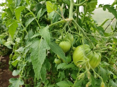 ����� �� ������ � �������? ����������� � ������ ����� �����������