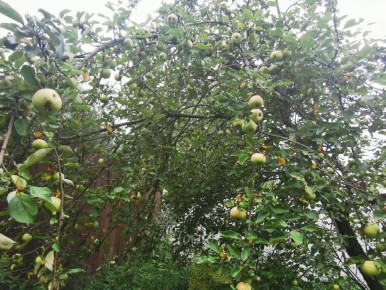 ��� ������ ��� �� ���������: ����������� ������ ������ � ������ �����