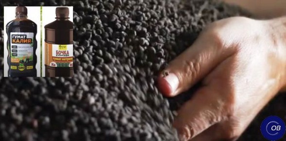 ������ � ������� ������: ������� ��������� ������