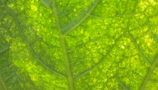 ��� �������� ������ �� ���������� ����� � ������ ������