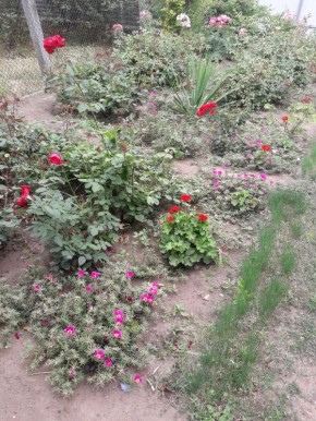 ������� ��������� ��������: ����������� ������� �� ������