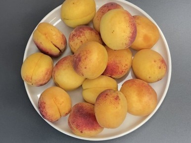 ������ �������: ��� ����������� ��������� �������� � ����������