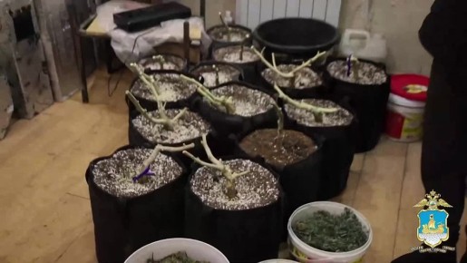 В Костроме полиция ликвидировала наркоплантацию в помещении бывшей АЗС и изъяла почти 4 кг марихуаны