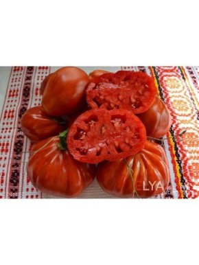 ����� ����: �������� ��������� ��� ������ �������