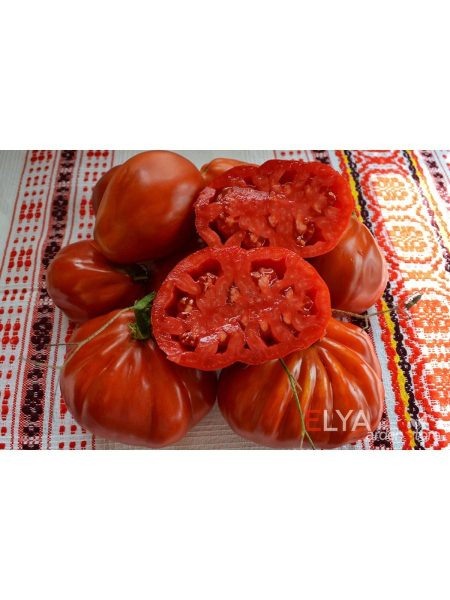 Томат Карл: немецкая надёжность для вашего огорода