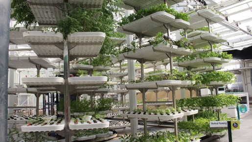 ����������� ������ �����������: ��� ��������� ����� ��� �����