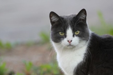 ���������� ������ � �������� �������� � �����