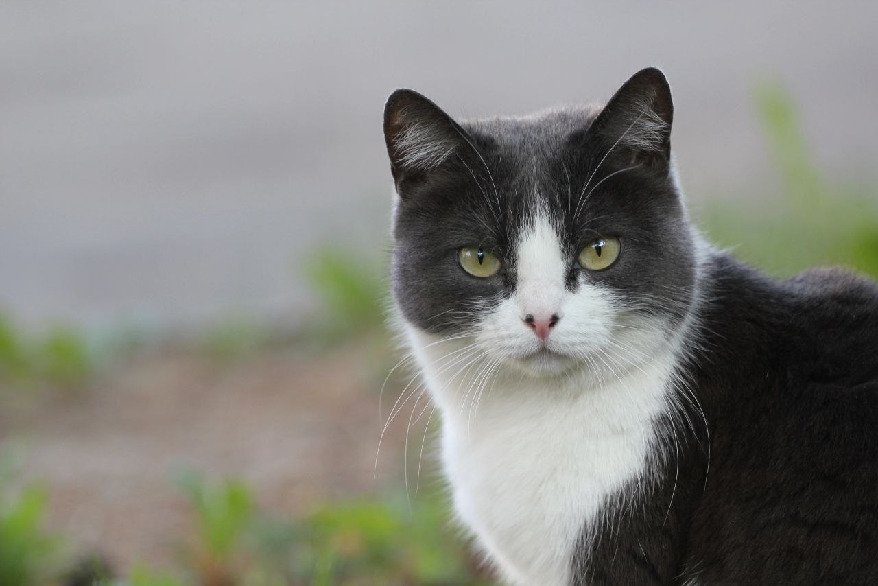 Ледниковый период в Костроме подходит к концу