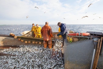 ������ �� ������� �������: ����� 580 ���. ���� ������������� ������ � ������ ��������� � �������