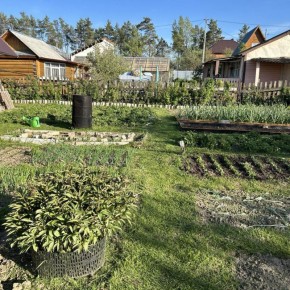 �������: �� ������ ���������, �� � ������ �������� ����� ��������