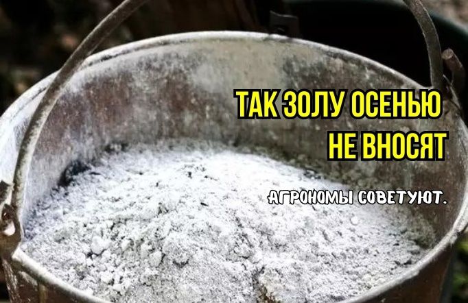 ��� �������� ���������������� ������ ��� �������� ���� � �����: ������ ���������