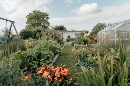 Курсы овощей для огорода: как вырастить вкусный урожай в тени