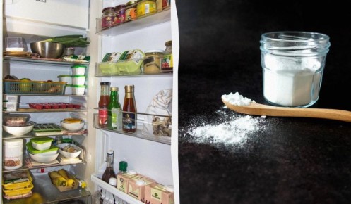 ��� �������� ����������� ��� ����� ����� �� ��� �����������