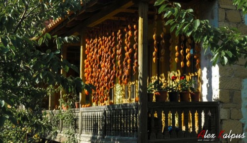 ������� �������� ������������ ������� ����� �� �������