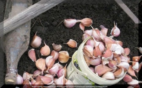 ��� ��������� ��������� �� ������ ��������: ������ ��� �����������