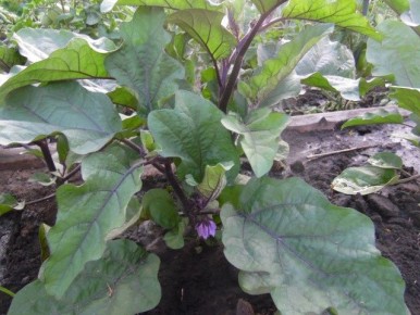 ��� �������� ��������� ������ ����������