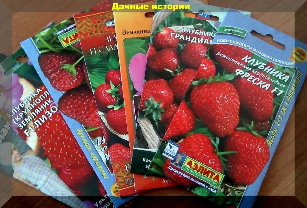 Как правильно вырастить клубнику из семян: советы, которые помогут получить отличный урожай