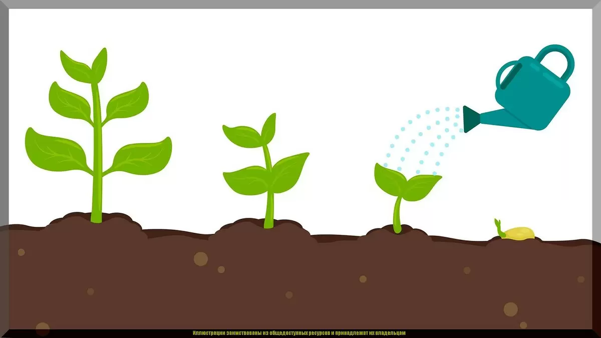 Как сэкономить на удобрениях: недорогие и натуральные альтернативы для вашего сада