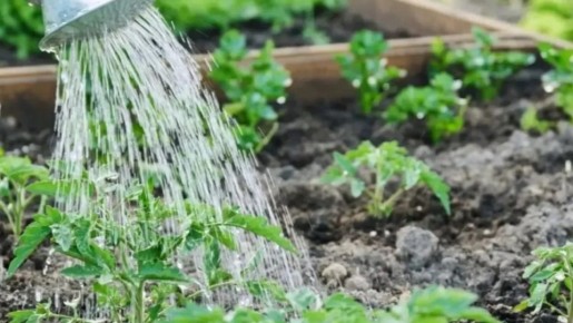 ��� ������� ����� ����� ���������� �� ��������� �� ���������